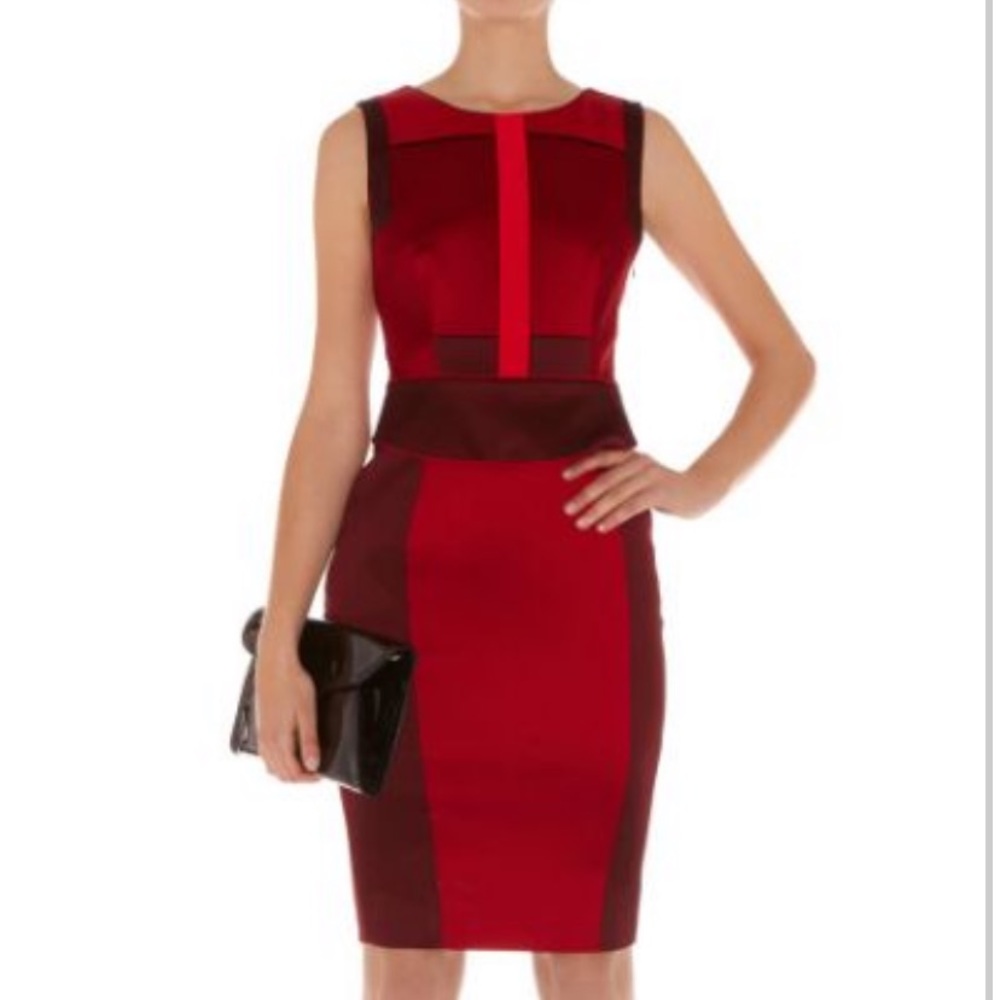 Karen millen dress